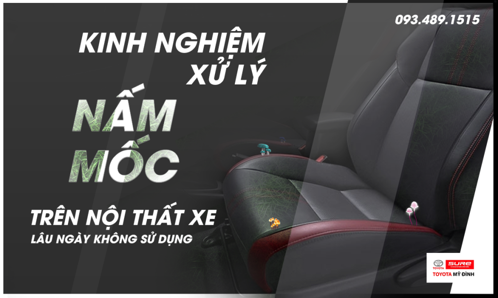 Kinh nghiệm xử lý nấm, mốc trên nội thất xe lâu ngày không sử dụng